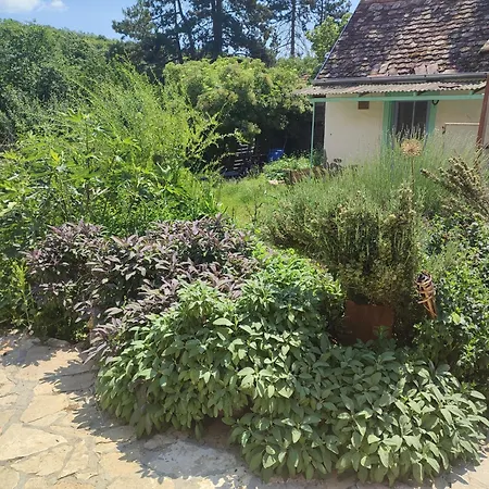 Balkan Retreat *