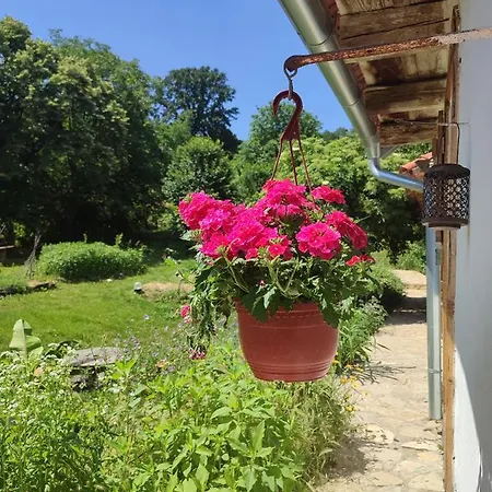 بيت ضيافة Balkan Retreat Besenovo