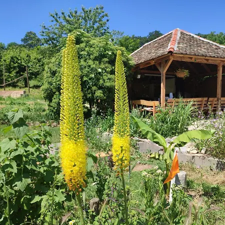 بيت ضيافة Balkan Retreat Besenovo