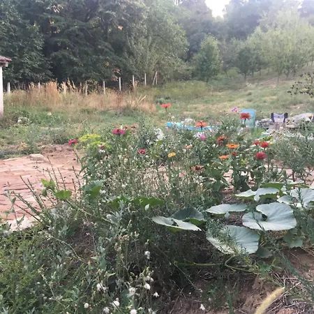 Πανσιόν Balkan Retreat Besenovo