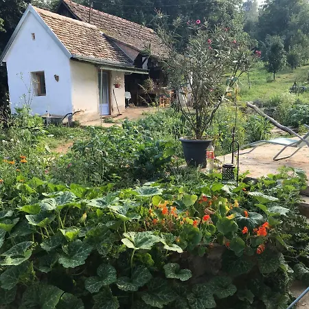 Balkan Retreat Guest house *